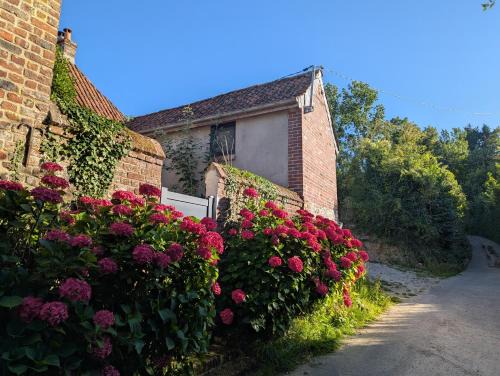 La cachette de Lola