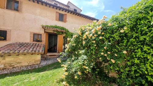 La Casa di LucaPietro Dimora Storica