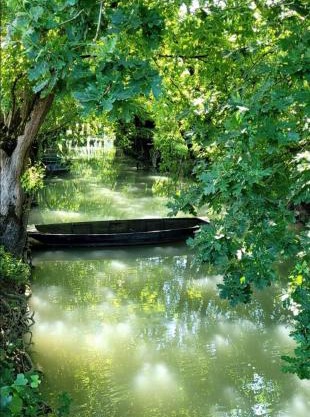La chaume du marais poitevin avec barque green venice with boat