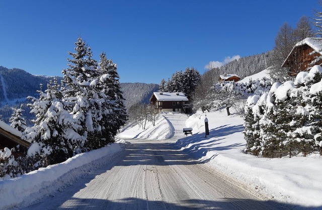 La clusaz 2 rooms extraordinary panorama - rate 4*nWith your animal.