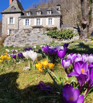 La Demeure de Cyr