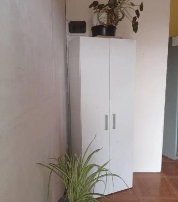 La esquina de Rosana