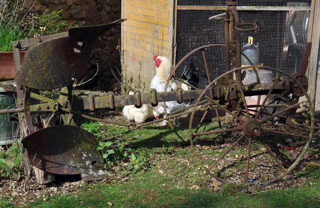 La Ferme de Flo' - Vache - Double ou Twin Confort