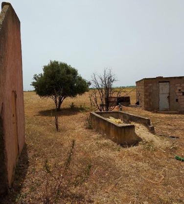 la maison du belmokhtar Mansour