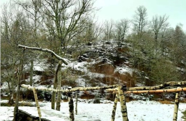 La Maison Sous les Arbres