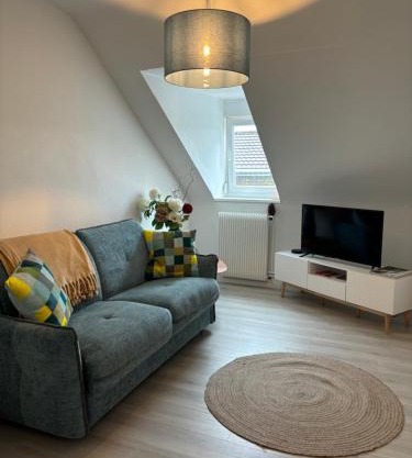 La Mulhousienne F3 Centre ville