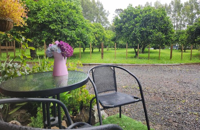 La Petite Ferme Studio Kerikeri