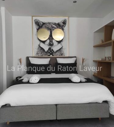 La planque du raton laveur