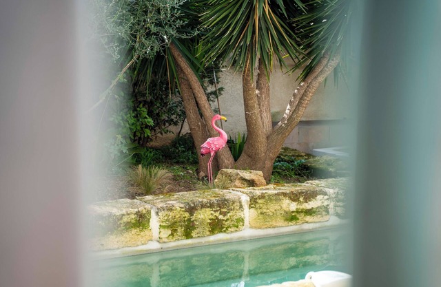La Provence downtown, Swimming pool, Garden, Terrace
