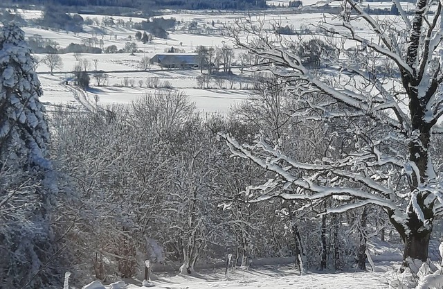La Verrière du Sancy