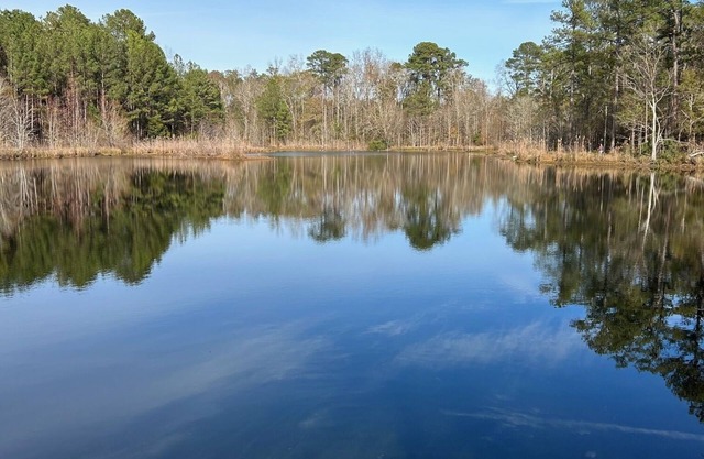 Lake Escape! This secluded house on a private lake is the perfect get away.