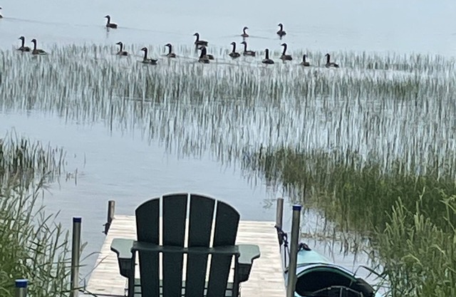 Lake front home, and 15 minutes to Arcadia National Park