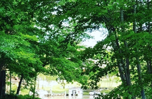 Lakefront Cottage in a rare serene setting for nature lovers on all sports lake.