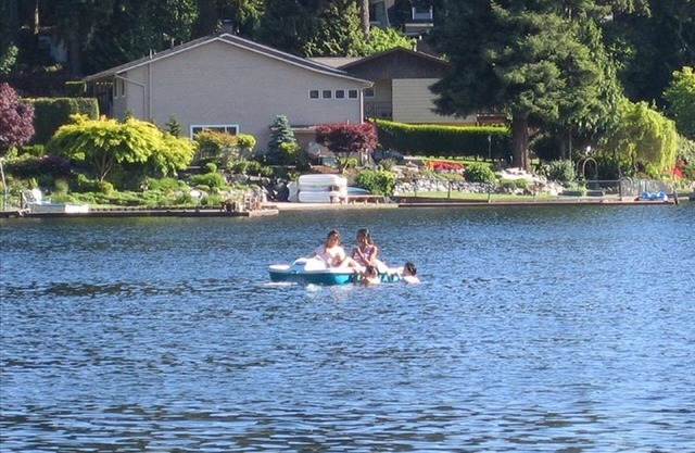 Lakefront - Lower Floor - No animal - Allergies