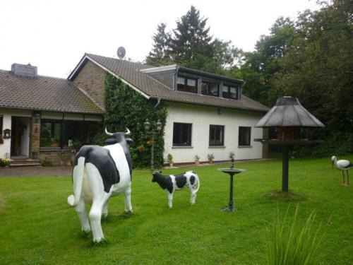Land des Friedens in Nettersheim/Eifel