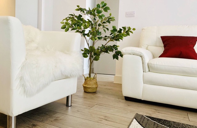 Large 2 Bedroom Central London Luxury Flat