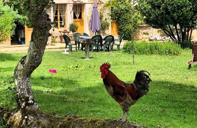 Large cottage comfort in the peace in full nature