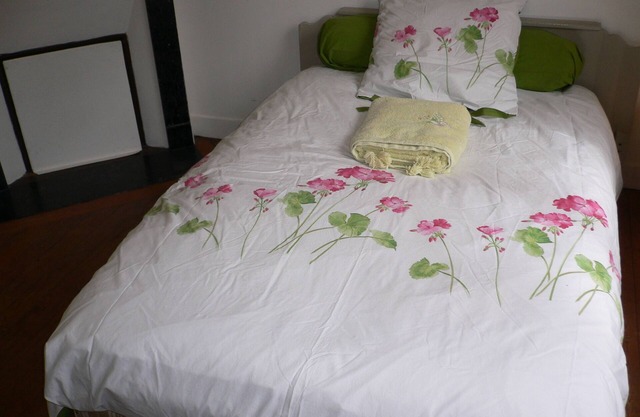 Large detached comfortable room