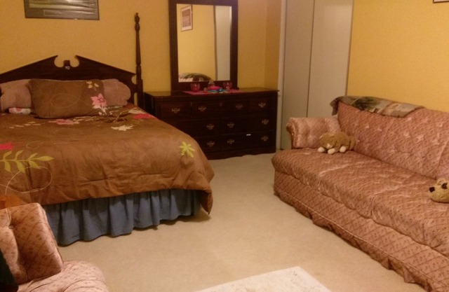 Large Furnished Basement Room