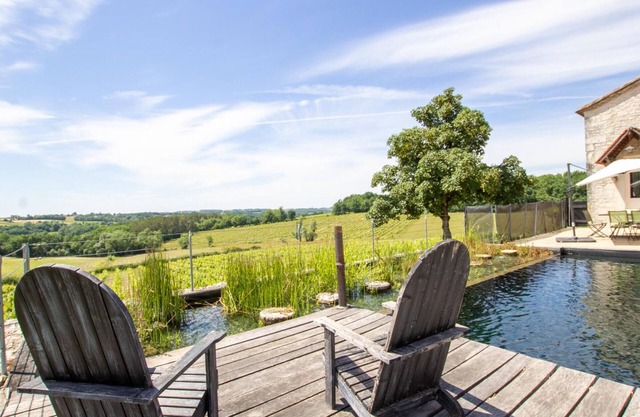 Large house with natural pool and garden in Dordogne