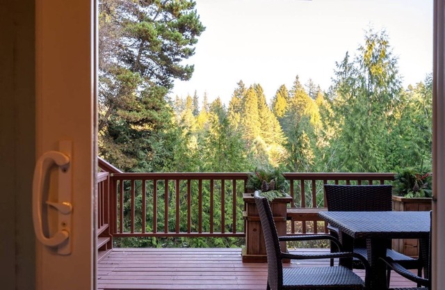 Large In-Law Studio Apartment
