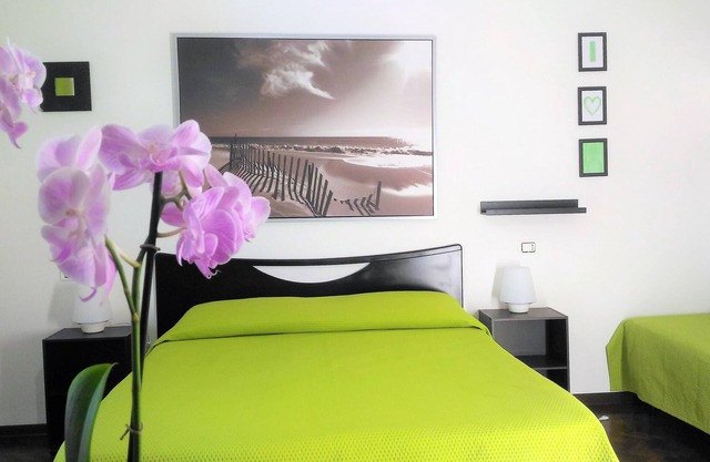 LARGE STUDIO FLAT WITH ALL COMFORTS - 250 M. FROM THE SEA - IN THE CENTRE OF BIBIONE