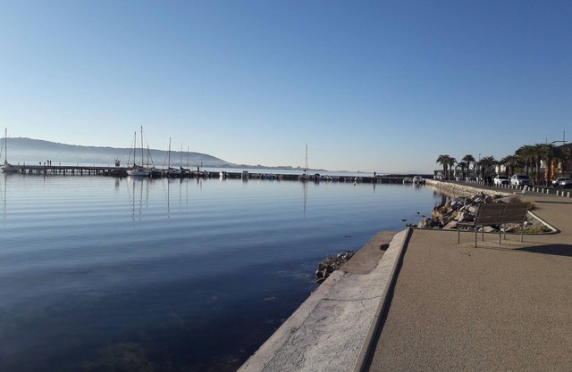 Large T2 (1 bedroom) 50m2 - CURE area (50m), Beaches, Center + WIFI + residence parking