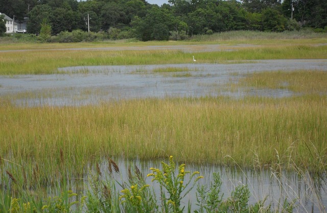 Last minute cancellation Labor Day 30% disc. Beautiful Ocean, botanical Garden.