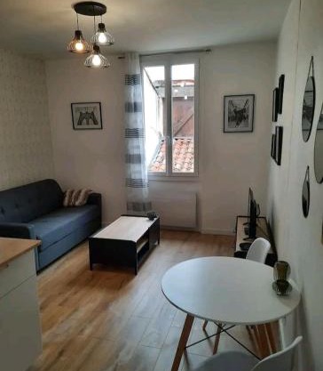 Le Black and White cosy studio Toulouse centre