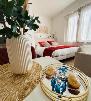 Le boudoir Béthunois - Appart hôtel centre - all confort