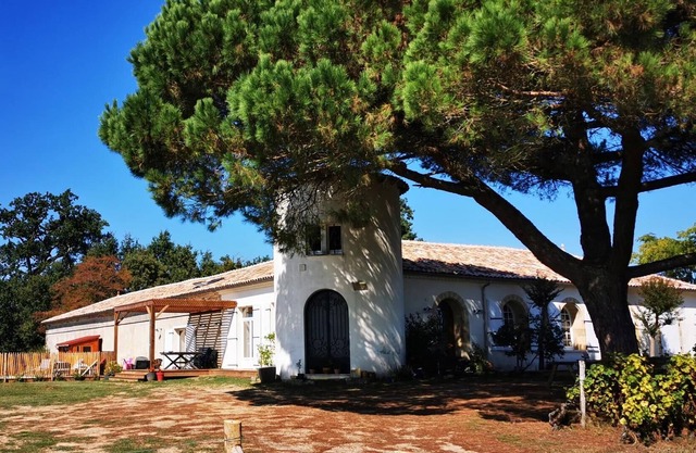 Le Castel de Lamothe