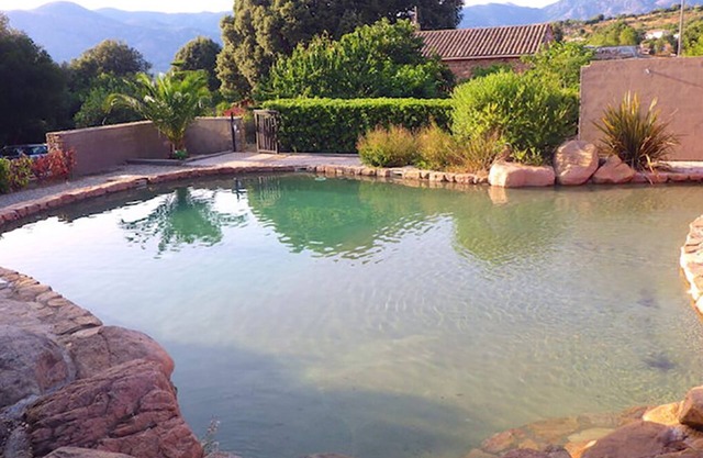 Le Citronnier house with swimming pool for 4/6 pers