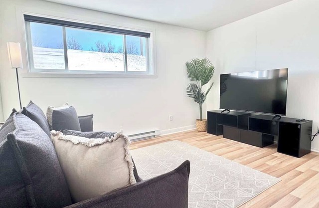 Le Cozy Summary: Déco