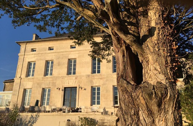 Le Dojo du Plessis