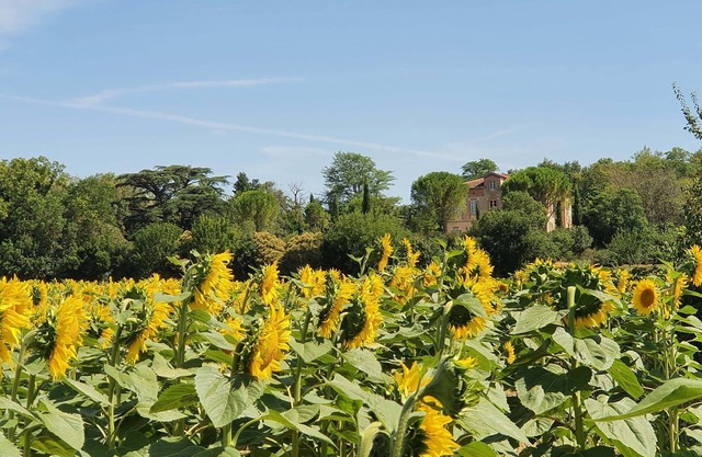 Le Gîte Château Sud, le Charme de la Toscane au Coeur du Lauragais