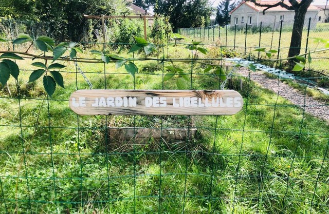 Le jardin des libellules