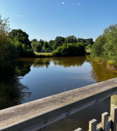 Le Nid du Teich