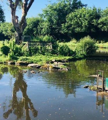 Le refuge des canards