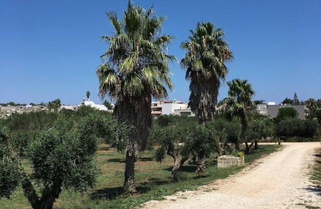 Le Stanze di Ray - Salento Homes - 2px Room