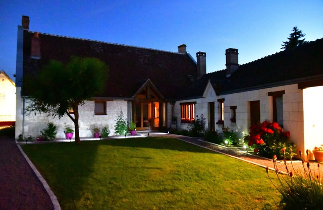 Le Tulipier de Virginie