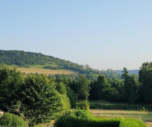 Les beaux jours chez dali