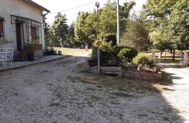 Les Marguerites Aux Lotz