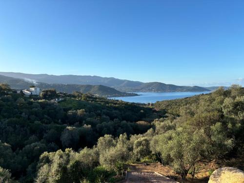Les Terrasses de Ruppione - Villa Scandola