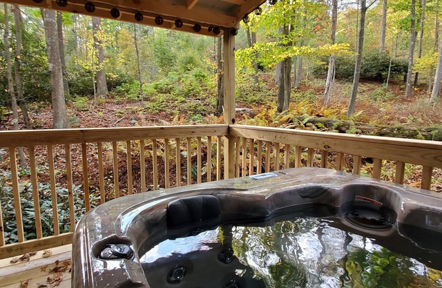 Lewis' Cottage | 2BR,1BA,Rustic,Hot Tub ,Fireplace