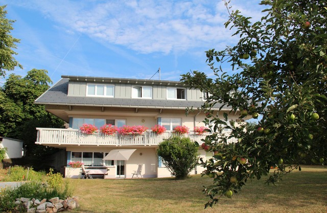 Light-filled, spacious apartment, direct access to terrace and lawn