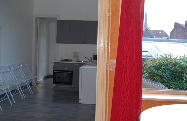 LILLE BRIGHT APARTMENT CLOSE TO STATION and LARGE PALACE FREE PARKING