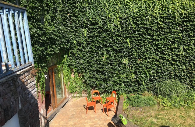 Lille-centre: 6 bedrooms in large house with garden