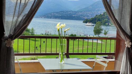 Lily Lake Maggiore