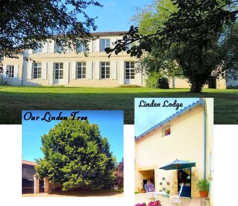 Linden Lodge Stays