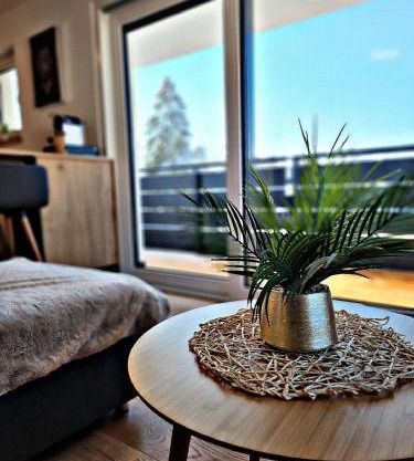 Lions Place Premium Apartments EXECUTIVE Luxus PENTHOUSE inklusive SPA